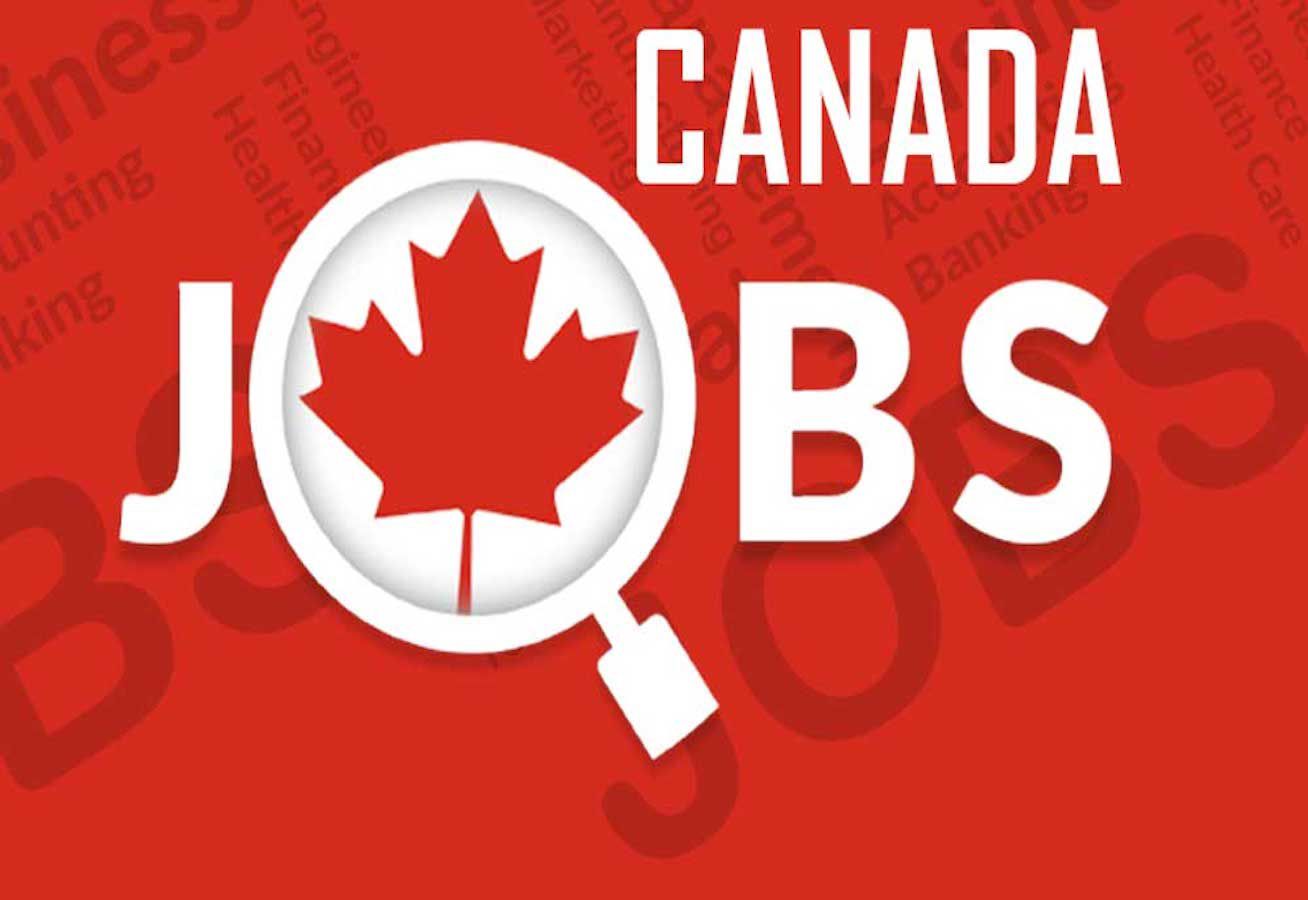 Top 10 High-Paying Jobs in Canada (2025) Like Fruit Picking – With Free Visa Sponsorship | Earn Up to $30 per Hour